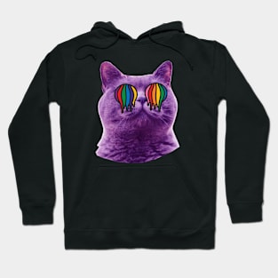 Cat On Acid Trippy Hoodie